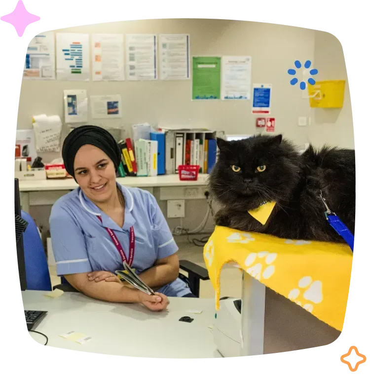 Volunteer with cat min